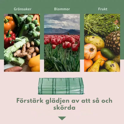 Miniväxthus med öppningsbara dörrar - Olika storlekar och färger